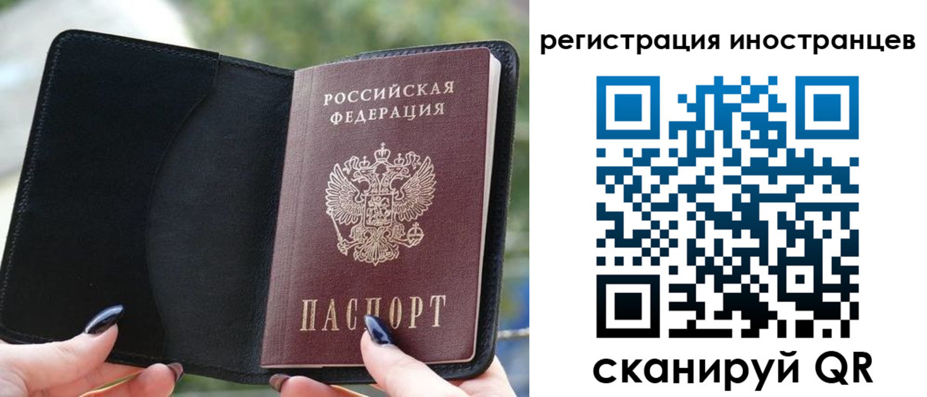 найти адрес прописки в Обояни